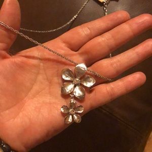 Sterling silver plated necklace with followers